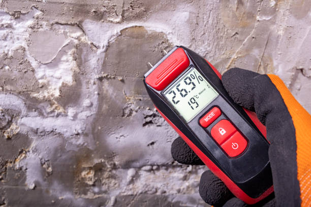 Mold Removal and Inspection in Sequim, WA