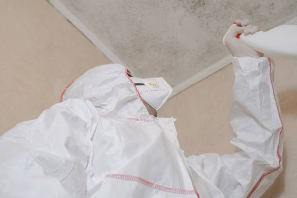 Best Mold Cleaning Services  in Sequim, WA
