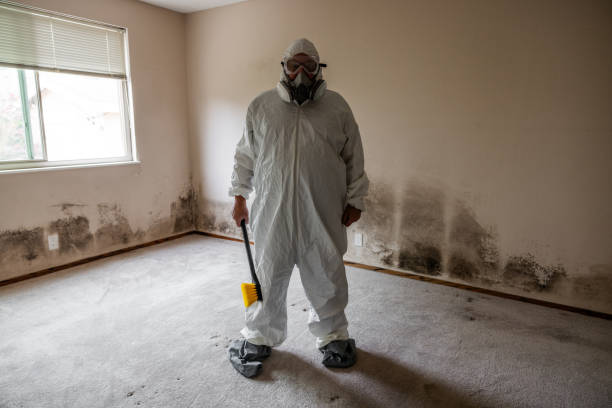 Best Office Mold Removal Services  in Sequim, WA