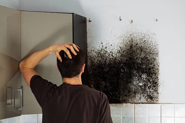 Best Fast Mold Removal  in Sequim, WA