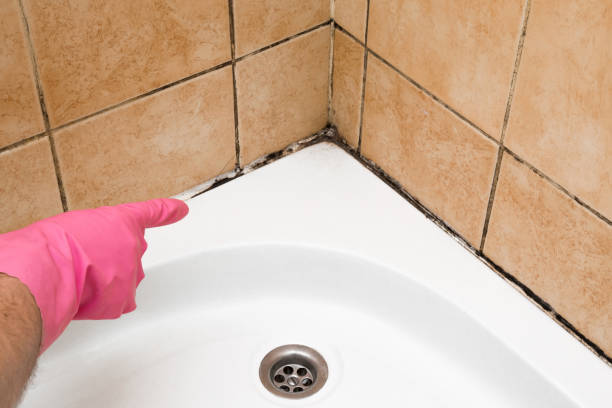 Best Residential Mold Removal  in Sequim, WA